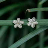 Stud flor dibujo